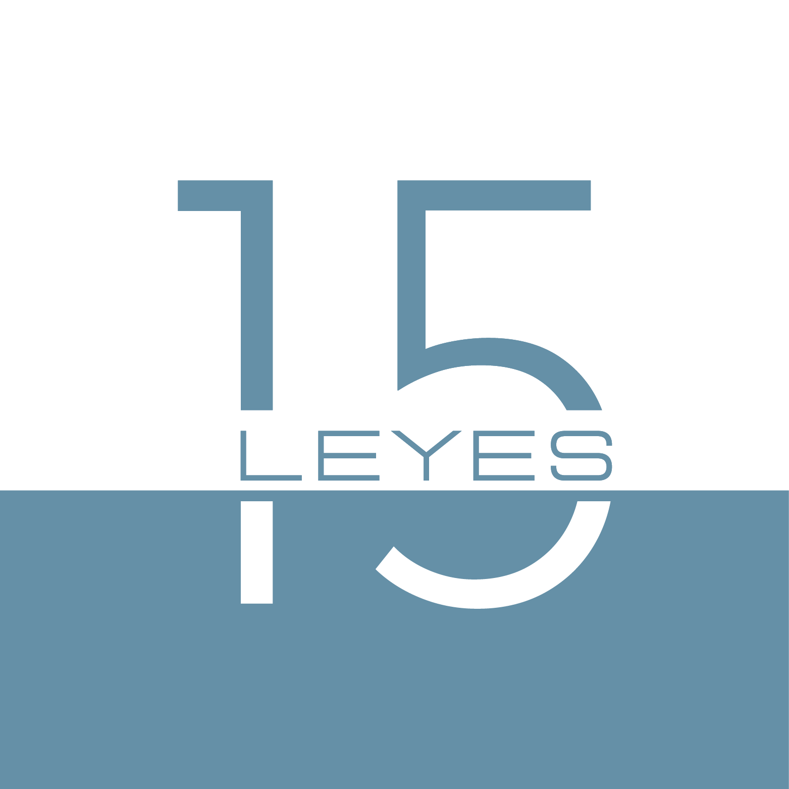 15 Leyes